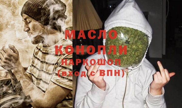 шишки Инта