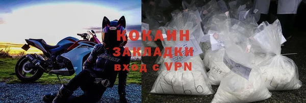 шишки Инта