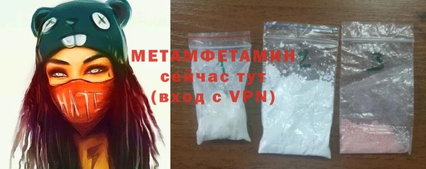 шишки Инта