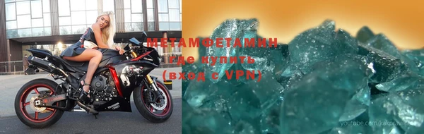 шишки Инта
