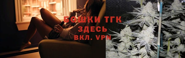 ешки Каменногорск