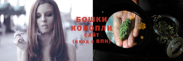 mdpv Инсар