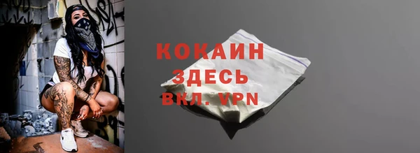 шишки Инта
