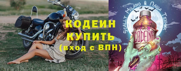 шишки Инта