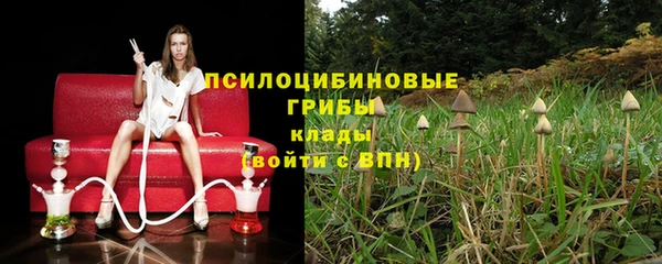 шишки Инта