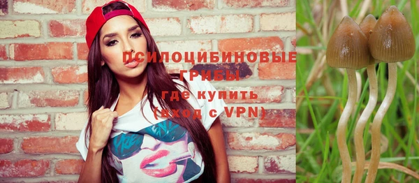 шишки Инта