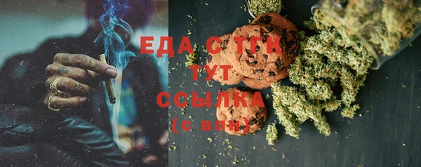 шишки Инта