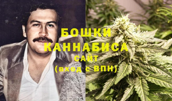mdpv Инсар