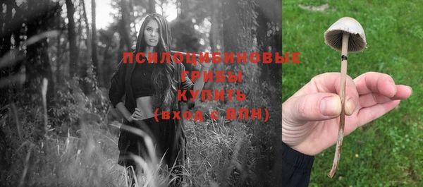 mdpv Инсар
