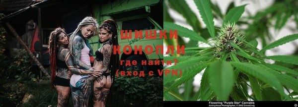дурь Каменка