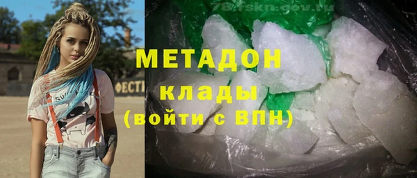 шишки Инта