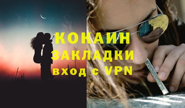 шишки Инта