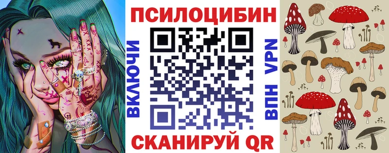 Купить закладки Кинешма Галлюциногенные грибы Psilocybine cubensis