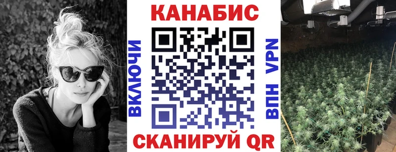 Бошки марихуана Bruce Banner  Купить закладки  Кинешма 
